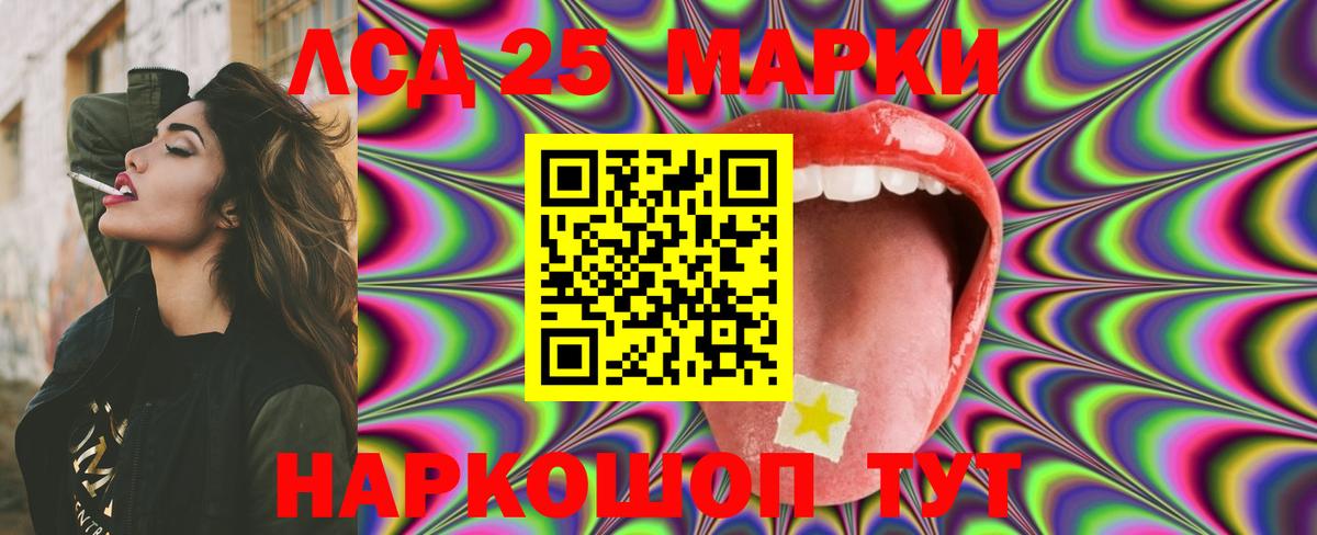 A PVP Ачхой-Мартан