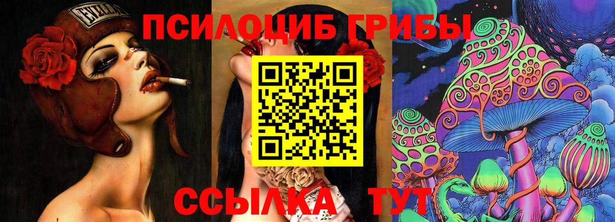 Псилоцибиновые грибы мицелий  как найти   Ачхой-Мартан  Вход с VPN 
