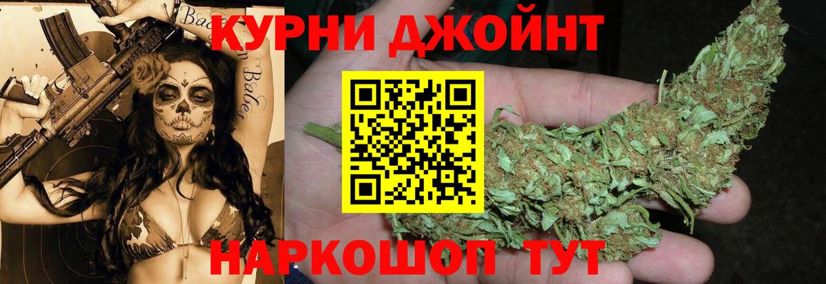 Бошки марихуана конопля Ачхой-Мартан